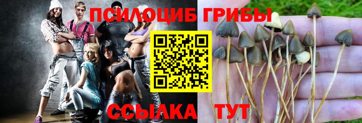 Галлюциногенные грибы Magic Shrooms  Вход с VPN  Бийск 